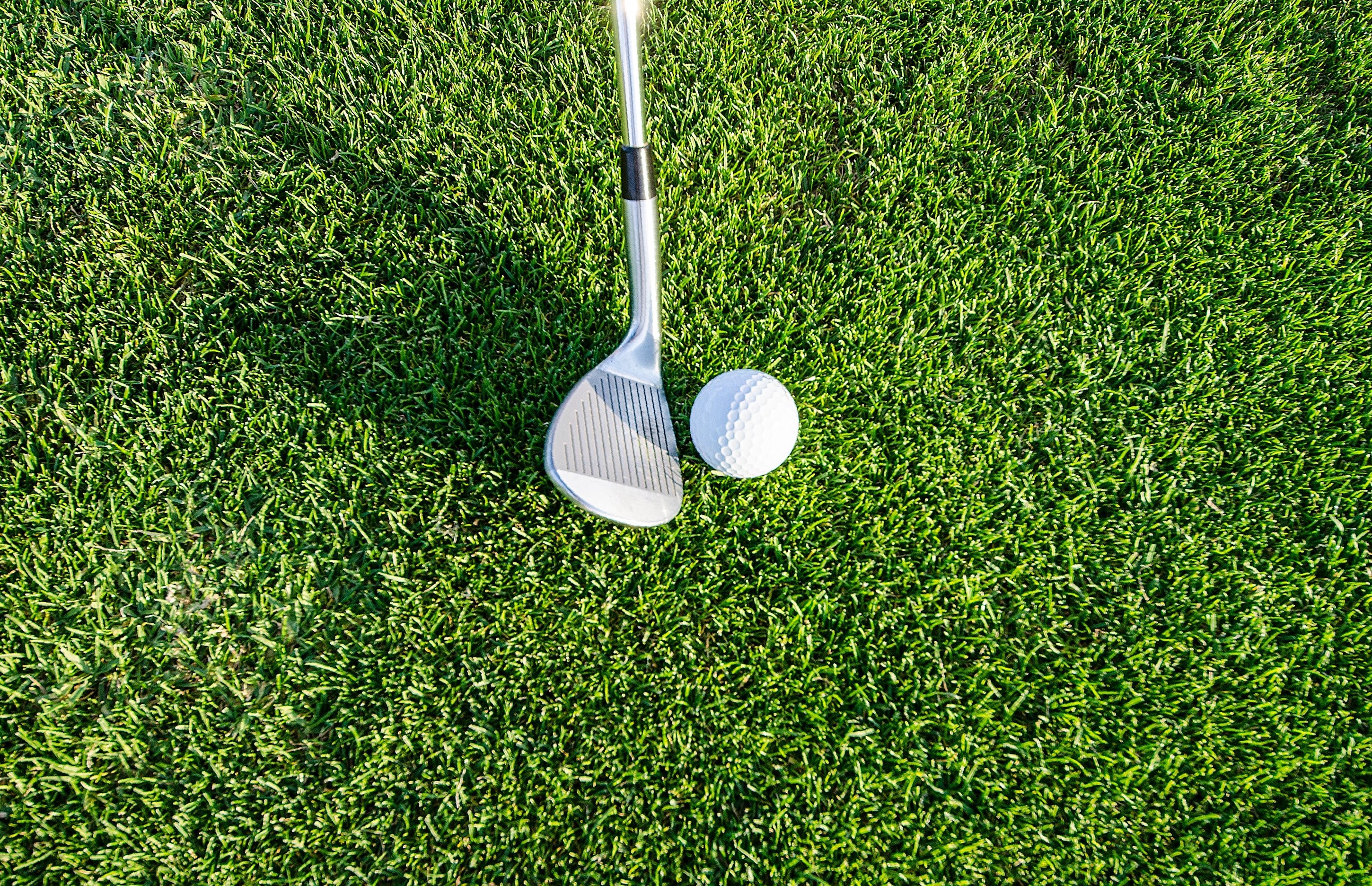 golf club and ball on green